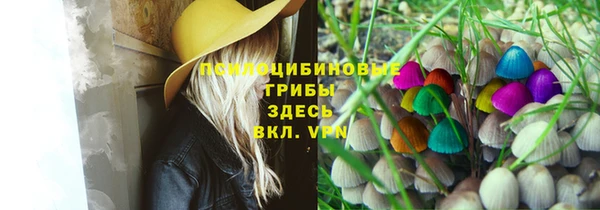 таблы Алексин