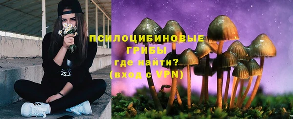 ALPHA PVP Алзамай