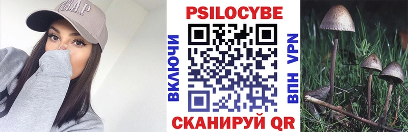 где найти наркотики  Билибино  Галлюциногенные грибы Magic Shrooms 